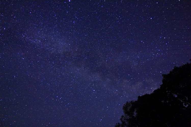 8f5d94b40e8c7b87d2e62d67b2c9e420_m