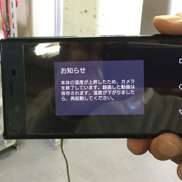 人工太陽照明灯を照らしてみました