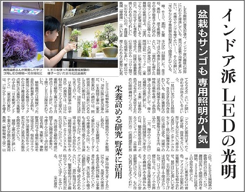 朝日新聞20200720