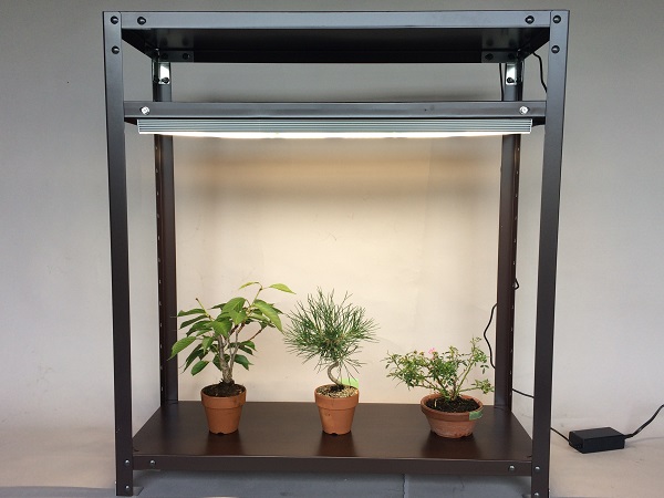 盆栽育成用人工太陽照明灯