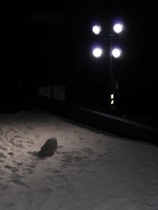 ＪＡＸＡ宇宙航空研究開発機構　宇宙探査イノベーションハブ1