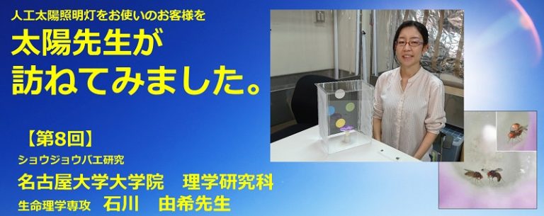 人工太陽照明灯納入事例【ハエの研究　名古屋大学石川由希先生】