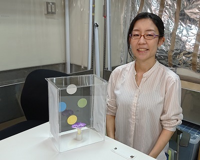 人工太陽照明灯納入事例【ハエの研究　名古屋大学石川由希先生】