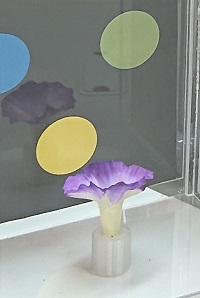 人工太陽照明灯納入事例【ハエの研究　名古屋大学石川由希先生】